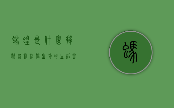 蚂蝗是什么？揭秘这种神秘生物的生活习性与生态影响