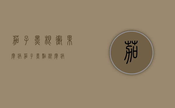 茄子黑根霉果腐病（茄子黑点根腐病）