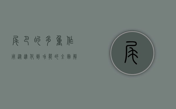 尾巴的多重作用，从进化到功能的全面解析