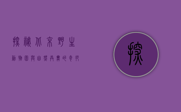 探秘北京野生动物园，与自然共舞的奇妙之旅