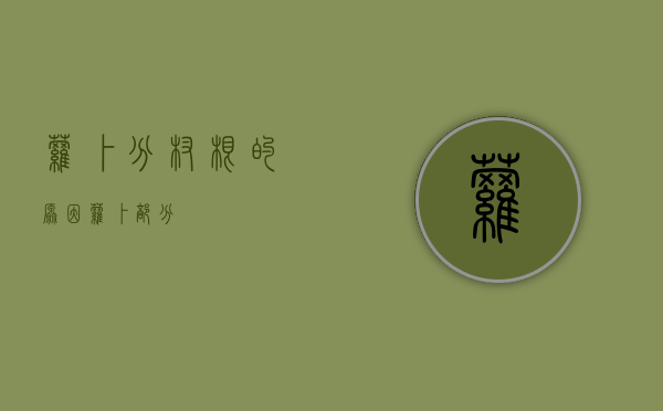 萝卜分杈根的原因（萝卜部分）