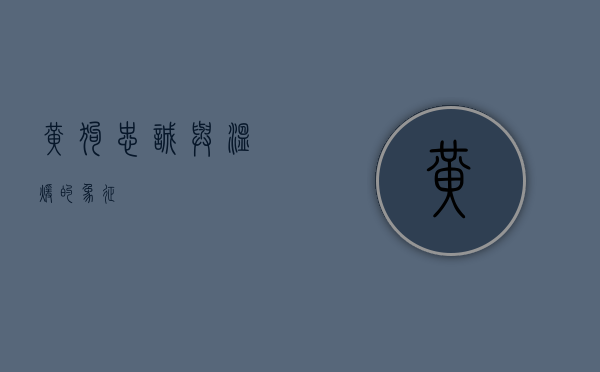 黄狗，忠诚与温暖的象征