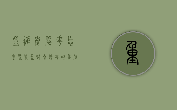 重瓣太阳花怎么繁殖（重瓣太阳花的养殖方法和注意事项）