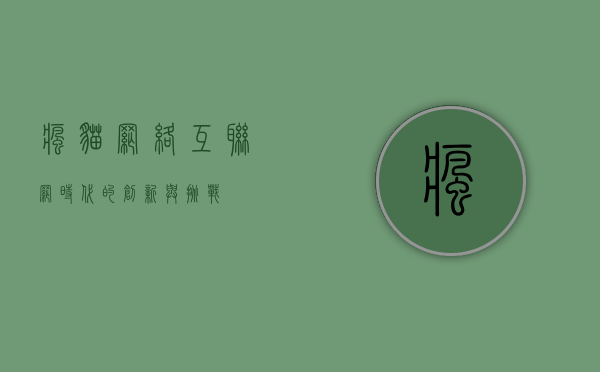 疯猫网络，互联网时代的创新与挑战