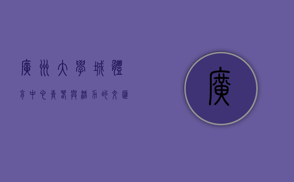 广州大学城体育中心，青春与活力的交汇之地
