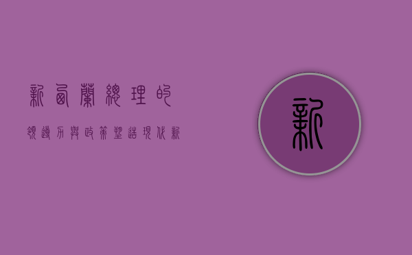 新西兰总理的领导力与政策，塑造现代新西兰的愿景