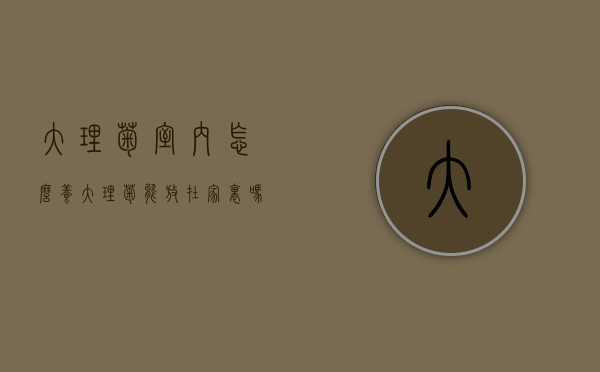 大理菊室内怎么养（大理菊能放在家里吗）