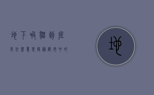 地下吸猫到底是什么意思？揭秘都市中的隐秘文化