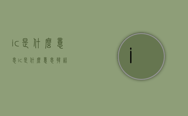 ic是什么意思（ic是什么意思韩语）