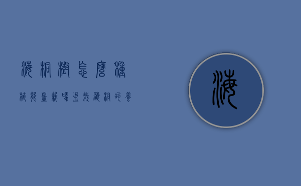 海桐树怎么种植能盆栽吗（盆栽海桐的养殖和管理）