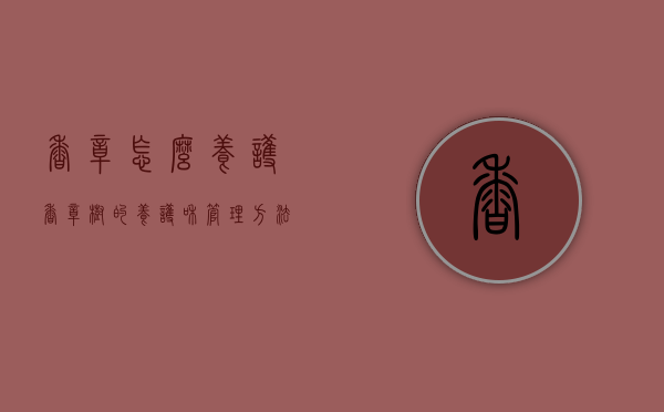 香樟怎么养护（香樟树的养护和管理方法）