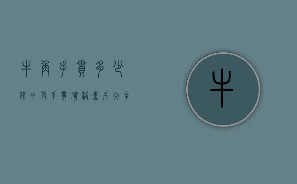 牛角手串多少钱（牛角手串价格图片大全）