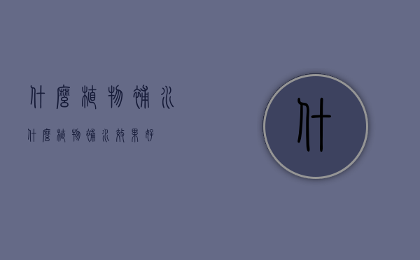 什么植物补水（什么植物补水效果好）