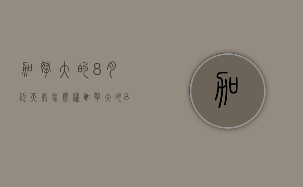 加拿大的8月份天气怎么样（加拿大的8月份天气怎么样了）