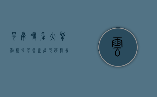 云南特产大盘点，探寻彩云之南的独特风味