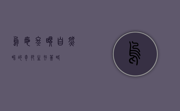 乌龟冬眠，自然界的奇妙生存策略