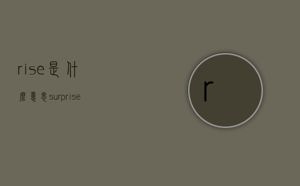rise是什么意思（surprise是什么意思）