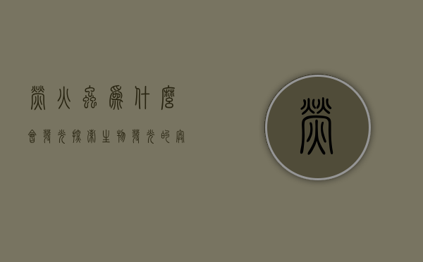 萤火虫为什么会发光？探索生物发光的奥秘