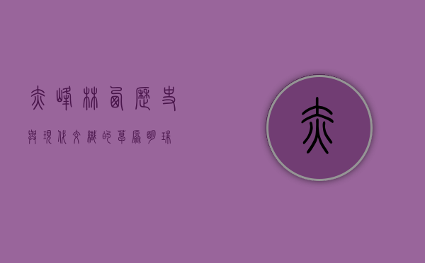 赤峰林西，历史与现代交织的草原明珠