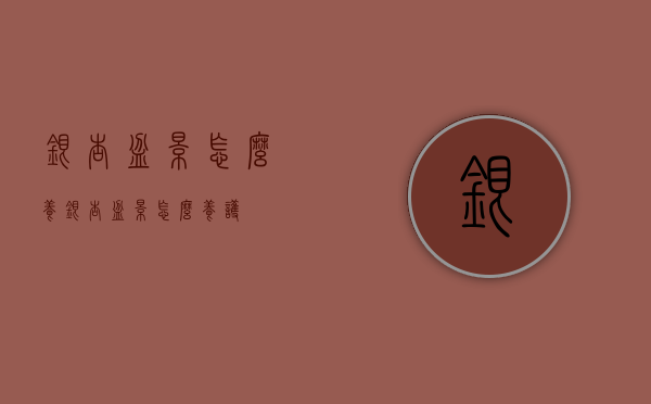 银杏盆景怎么养（银杏盆景怎么养护）