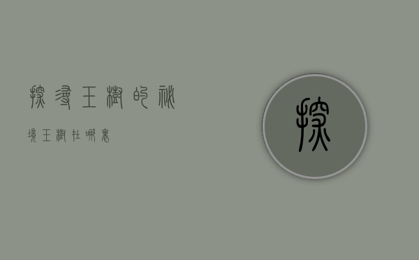 探寻玉树的秘境，玉树在哪里？