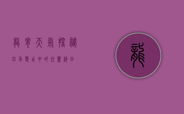 龙脊天气探秘，四季变幻中的壮丽梯田