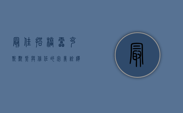 最佳搭档雷克斯，默契与信任的完美诠释