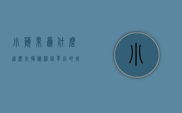 小苹果为什么这么火，揭秘神曲背后的成功密码