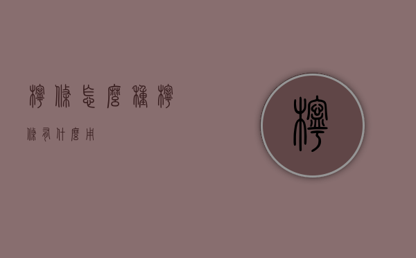 柠条怎么种（柠条有什么用）