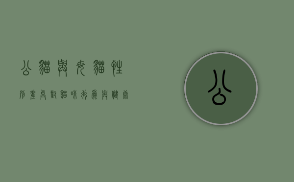 公猫与母猫，性别差异对猫咪行为与健康的影响
