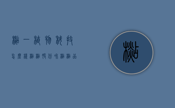 杉一植物科技怎么样（杉杉股份和杉杉品牌）