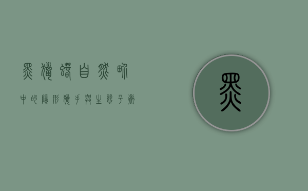 黑猎蝽，自然界中的隐形猎手与生态平衡的守护者