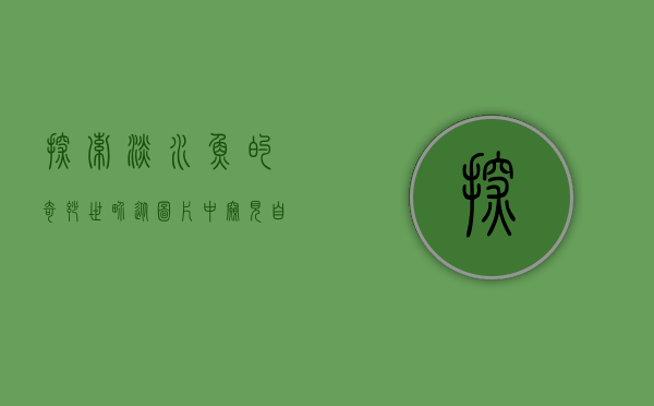 探索淡水鱼的奇妙世界,从图片中窥见自然之美 探索淡水鱼的奇妙世界,从图片中窥见自然之美