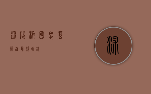沭阳楠国怎么样（沭阳县咋样）