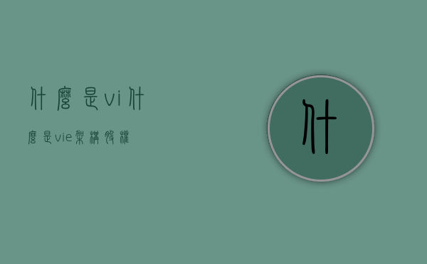 什么是vi（什么是vie架构股权）