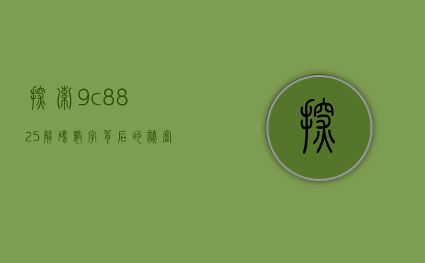 探索9c8825，解码数字背后的秘密