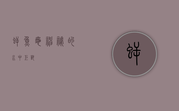 鳄鱼龟,神秘的水中巨兽 鳄鱼龟,神秘的水中巨兽