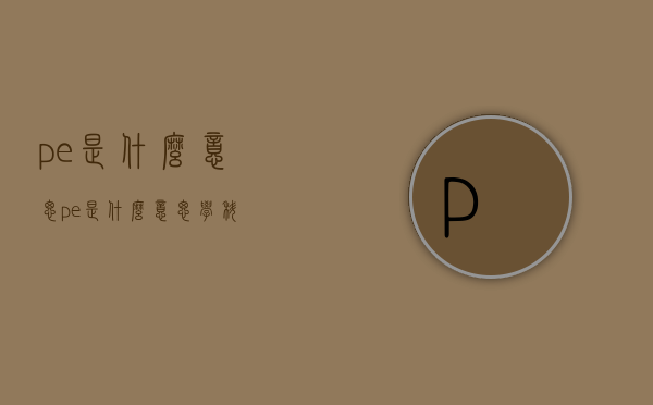 pe是什么意思（pe是什么意思学科）