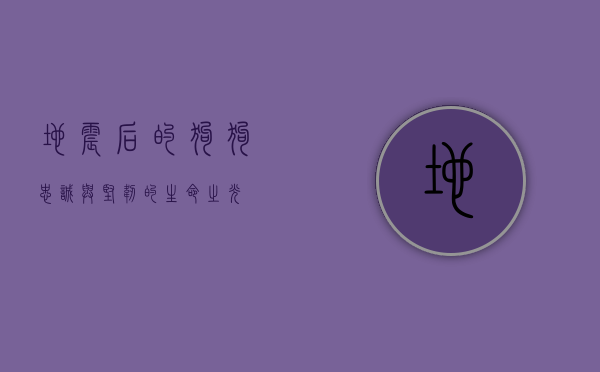地震后的狗狗，忠诚与坚韧的生命之光