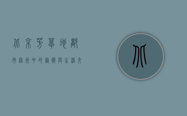 北京芳草地，都市绿洲中的艺术与生活交响曲