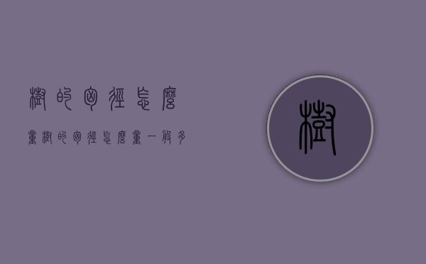 树的胸径怎么量（树的胸径怎么量一般多少）