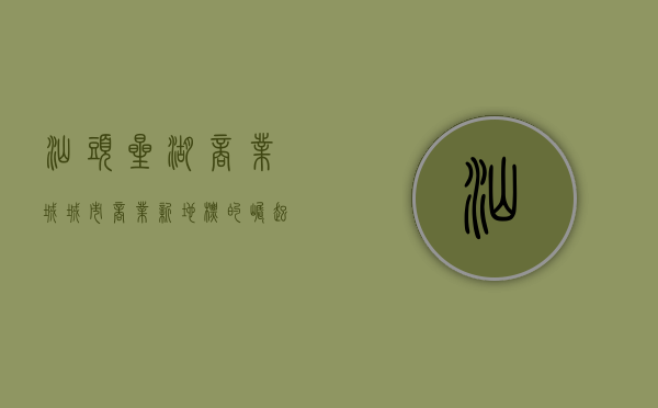 汕头星湖商业城，城市商业新地标的崛起与发展
