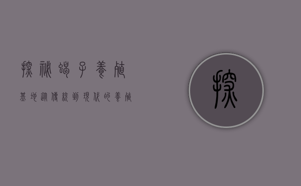 探秘蝎子养殖基地，从传统到现代的养殖革命