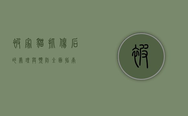 被家猫抓伤后的处理与预防，全面指南
