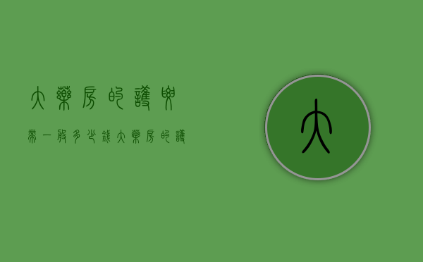 大药房的护腰带一般多少钱（大药房的护腰带一般多少钱一条）