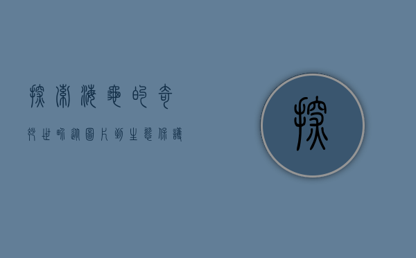 探索海龟的奇妙世界，从图片到生态保护