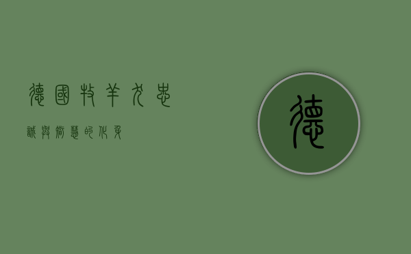 德国牧羊犬，忠诚与智慧的化身