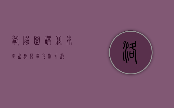 洛阳团购网，本地生活消费的新引擎