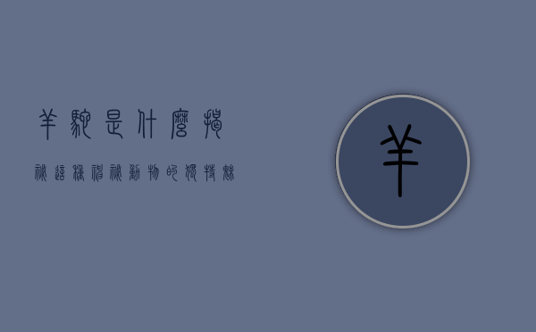 羊驼是什么？揭秘这种神秘动物的独特魅力