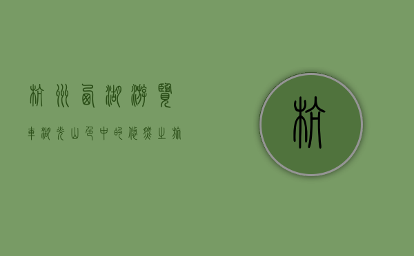 杭州西湖游览车，湖光山色中的悠然之旅